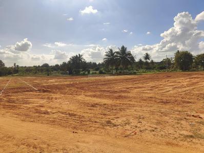 Project Image of 1160.67 - 3030.04 Sq.ft Residential Plot Plot for buy in Lake Botanica Phase 2