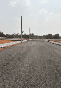 Project Images