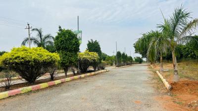 Project Image of 1350.0 - 4500.0 Sq.ft Residential Plot Plot for buy in Sampangi The Green Ridge