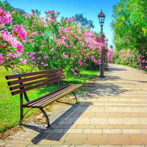 Project Image of 538.2 - 3859.43 Sq.ft Residential Plot Plot for buy in Soha Arconia City
