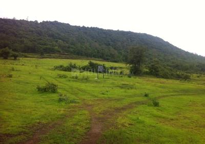 Project Image of 500.0 - 1320.0 Sq.ft Residential Plot Plot for buy in Lunkad Forestville
