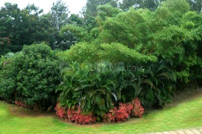 Project Image of 2400.0 - 3500.0 Sq.ft Residential Plot Plot for buy in Ferns North Star