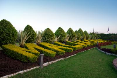 Project Image of 1331.82 - 5230.94 Sq.ft Residential Plot Plot for buy in Satya Malwa County A Block