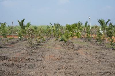 Project Image of 1485.0 - 1980.0 Sq.ft Residential Plot Plot for buy in Sri Abhisha Sri Dhatri