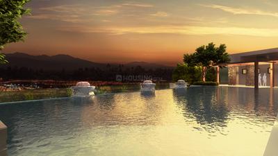 Project Images