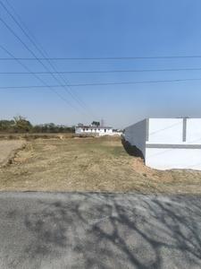 Project Image of 1000.0 - 2000.0 Sq.ft Residential Plot Plot for buy in Yuvraj Vatika