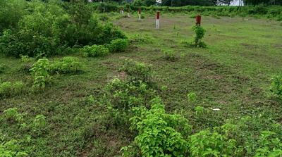 Project Image of 1200.0 - 1925.0 Sq.ft Residential Plot Plot for buy in Redbrick Empire