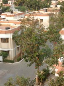 Project Image of 0.0 - 610.0 Sq.ft 2 BHK Apartment for buy in Thasami Park Residency