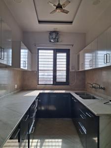 Project Image of 0.0 - 1170.0 Sq.ft 3 BHK Builder Floor for buy in Trishakti Faridabad Luxury Builder Floor
