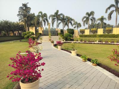 Project Image of 1076.39 - 2152.78 Sq.ft Residential Plot Plot for buy in Sapphire Royale Extension