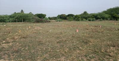 Project Image of 1050.0 - 1855.0 Sq.ft Residential Plot Plot for buy in Sri Ram Nagar