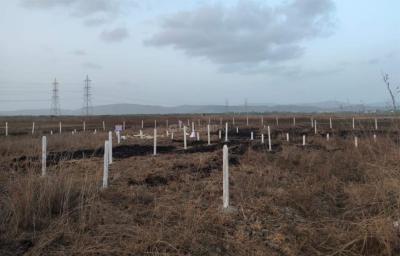 Project Image of 1000.0 - 10000.0 Sq.ft Residential Plot Plot for buy in Mahamumbai Plots In Vindhane