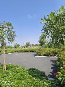 Project Image of 0.0 - 500.0 Sq.ft Residential Plot Plot for buy in Tirumala Padmawati