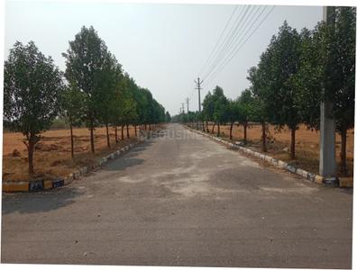 Project Image of 1620.0 - 1800.0 Sq.ft Residential Plot Plot for buy in Lighthouse Pharma Green City