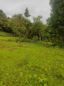 Project Image of 1000.0 - 10000.0 Sq.ft Residential Plot Plot for buy in Trivikram Infra Residential Plot In Ranjanpada Mahamumbai