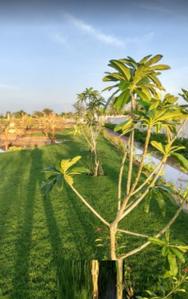 Riyasat Vatika Amenities 2