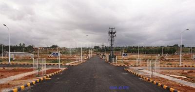 Project Image of 1200.0 - 4000.0 Sq.ft Residential Plot Plot for buy in Ascent County