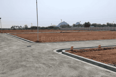 Project Images