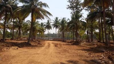 Project Image of 1200.0 - 2400.0 Sq.ft Residential Plot Plot for buy in Ashoka Aarna