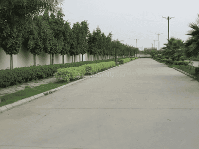 Project Image of 2322.0 - 6300.0 Sq.ft Residential Plot Plot for buy in QVC G99