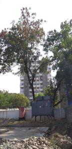Project Image of 0.0 - 476.0 Sq.ft 1 BHK Apartment for buy in Hrutviin Unnati Avenue