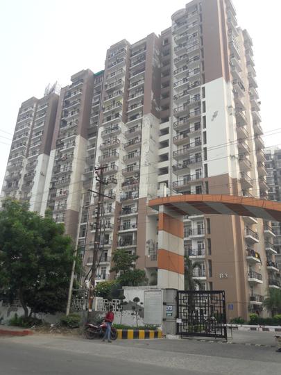 Maxblis Glory - Image 4