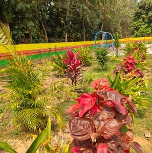 Project Image of 873.0 - 1293.0 Sq.ft Residential Plot Plot for buy in V Professional Jabamalai Avenue Phase 2
