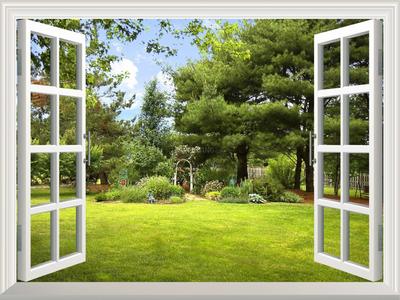 Project Image of 0.0 - 9072.0 Sq.ft Residential Plot Plot for buy in Sawera Country Farm