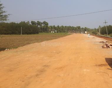 Project Image of 809.98 - 4499.96 Sq.ft Residential Plot Plot for buy in RK Narayane Gardens