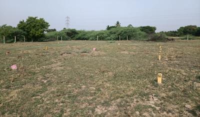 Project Image of 1050.0 - 1855.0 Sq.ft Residential Plot Plot for buy in Sri Ram Nagar