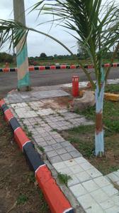 Project Image of 1503.0 - 2700.0 Sq.ft Residential Plot Plot for buy in Prathista Highway Paradise