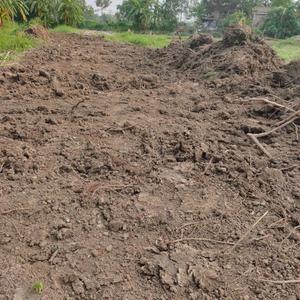 Project Image of 720.0 - 2160.0 Sq.ft Residential Plot Plot for buy in Sai Niwas