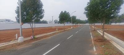 Project Image of 2358.0 - 4008.0 Sq.ft Residential Plot Plot for buy in Daisy Garden