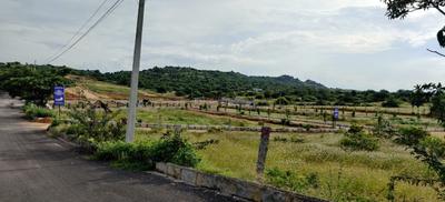 Project Image of 1502.96 - 3644.98 Sq.ft Residential Plot Plot for buy in SSP Sri Sai Panchvati County