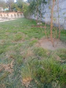 Project Image of 900.0 - 1350.0 Sq.ft Residential Plot Plot for buy in Panchsheel Park Phase 1