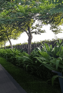 Project Image of 2724.62 - 6797.41 Sq.ft Residential Plot Plot for buy in Ramayana Crest Greens