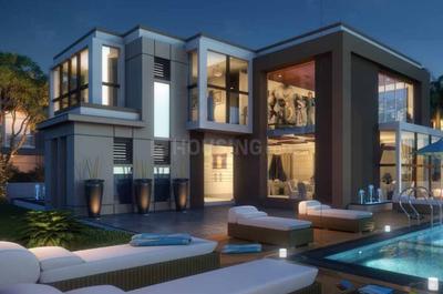 Project Images
