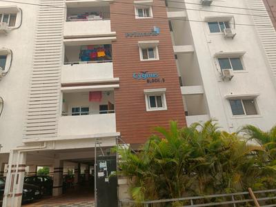 Project Image of 1199.0 - 1560.0 Sq.ft 2 BHK Apartment for buy in Primark Cygnus