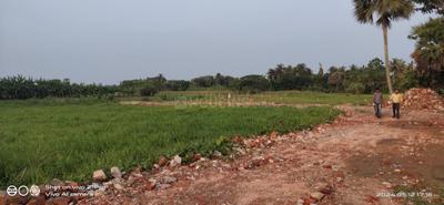 Project Image of 720.0 - 2880.0 Sq.ft Residential Plot Plot for buy in Natures Paradise