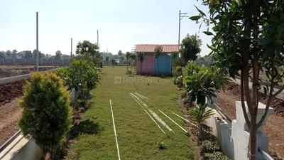 Ms Royal IB City Landscape Garden and Tree Planting 1