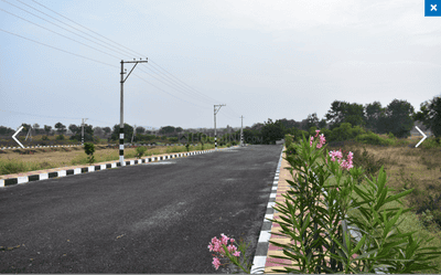 Project Image of 1404.0 - 5499.0 Sq.ft Residential Plot Plot for buy in Tricolour Brown Valley Phase II