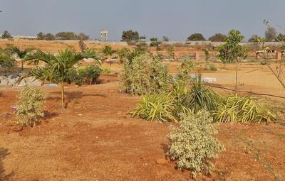 Project Image of 1503.0 - 1998.0 Sq.ft Residential Plot Plot for buy in Lavoura Hill Side