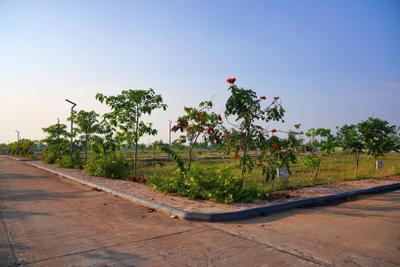 Project Image of 1602.0 - 3024.0 Sq.ft Residential Plot Plot for buy in Sri Bhramara Plots
