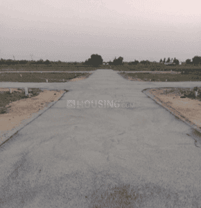 Project Images