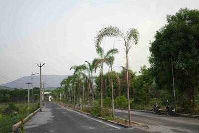 Project Image of 1210 Sq.ft 2 BHK Independent House for sale in Karamadai for Rs. 5850000