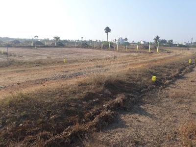 Project Image of 800.0 - 2200.0 Sq.ft Residential Plot Plot for buy in ABS Sairam Nagar