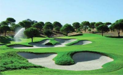 Project Image of 1100.0 - 2395.0 Sq.ft 2 BHK Apartment for buy in Lotus Greens Sports City