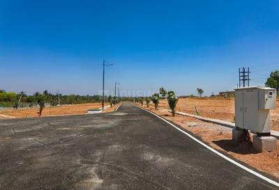 Rai Spring Meadows Elevation 1