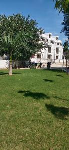 Panchsheel Park Plot Landscape Garden and Tree Planting 1