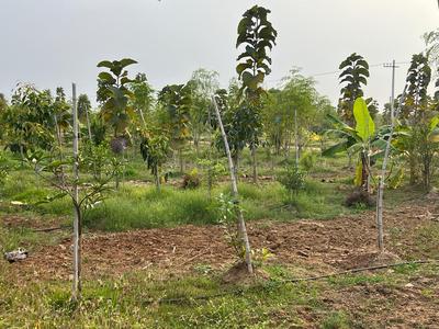 Project Image of 3267.0 - 5445.0 Sq.ft Residential Plot Plot for buy in Suvarnabhoomi Suvarna Sahasra